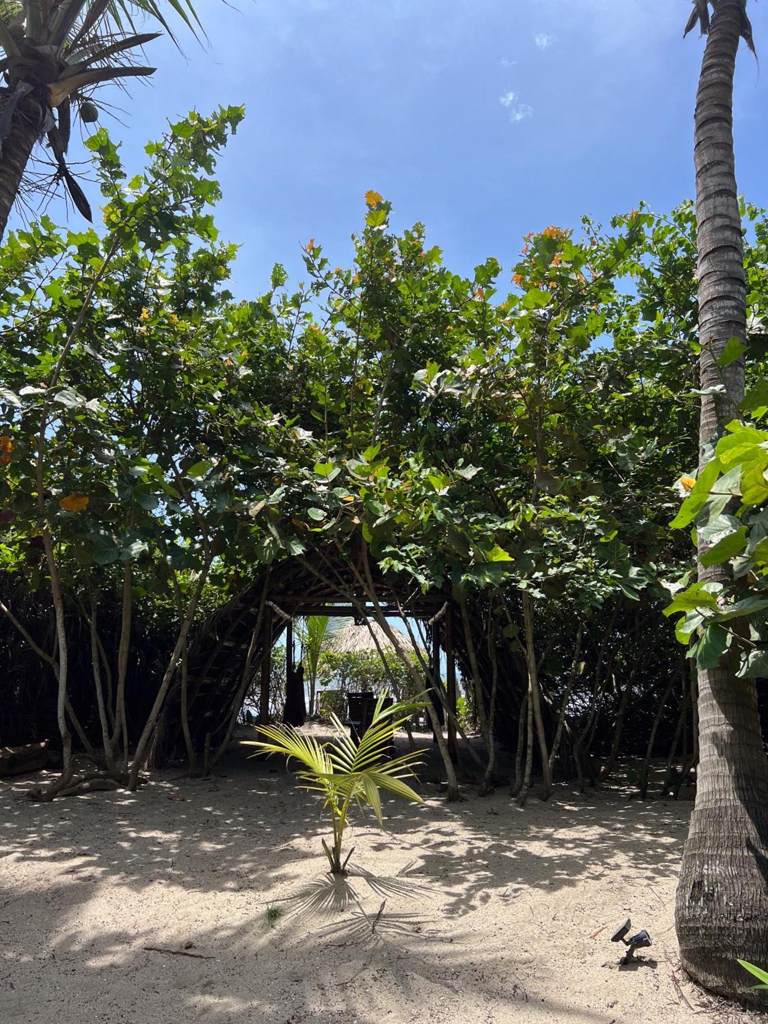 Lote 10 Glamping Hotel Guachaca Ngoại thất bức ảnh